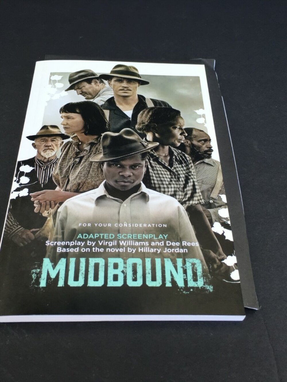 Mudbound FYC Adapted Screenplay 2017 Script Book